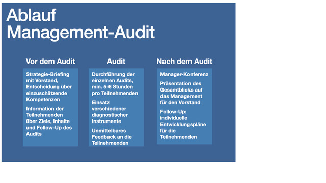 Prozessgrafik zum Ablauf des Management Audit